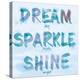 Dream, Sparkle, Shine-SD Graphics Studio-Stretched Canvas