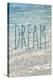 Dream-Sarah Gardner-Stretched Canvas