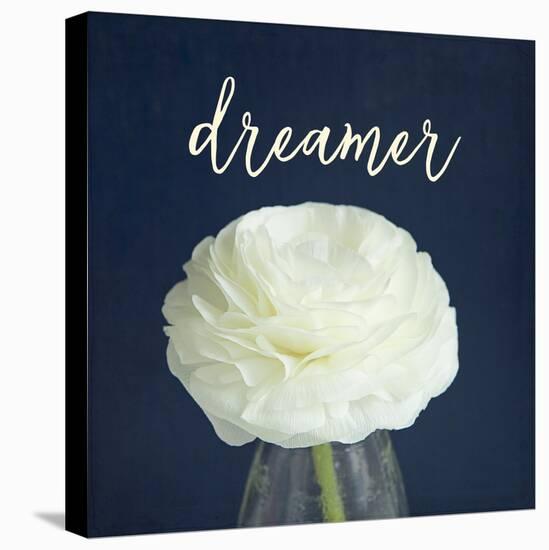Dreamer-Susannah Tucker-Stretched Canvas