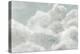 Dreaming in Clouds-Yvette St. Amant-Stretched Canvas