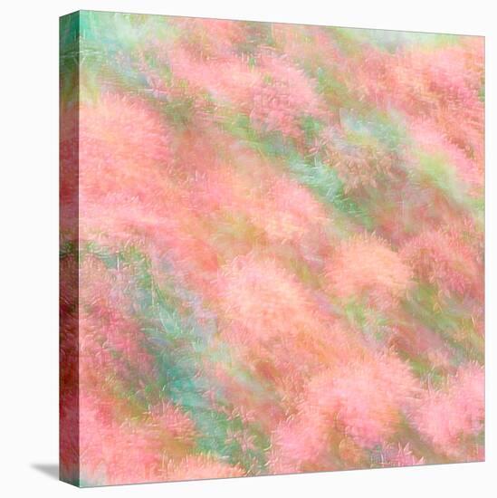 Dreamland-Steven Maxx-Premier Image Canvas