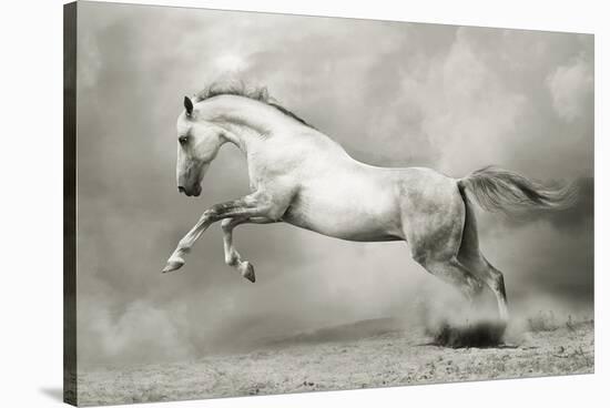 Dreamstate Equus-null-Stretched Canvas
