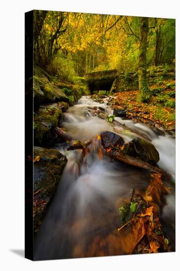 Dreamy Autumn Creek, Columbia River Gorge, Oregon-Vincent James-Premier Image Canvas