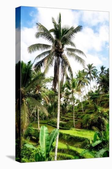 Dreamy Bali - Beautiful Rice Terraces Ubud-Philippe HUGONNARD-Premier Image Canvas