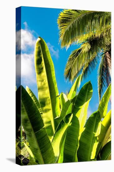 Dreamy Bali - Between the Leaves-Philippe HUGONNARD-Premier Image Canvas