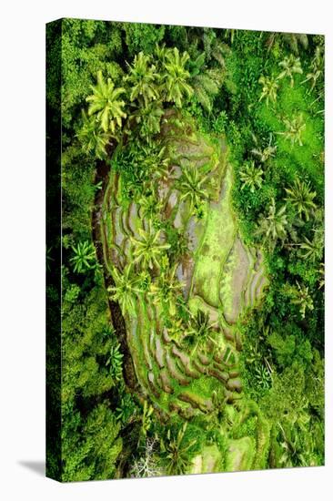 Dreamy Bali - Between the Rainforest-Philippe HUGONNARD-Premier Image Canvas