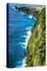 Dreamy Bali - Green Cliff-Philippe HUGONNARD-Premier Image Canvas