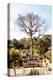 Dreamy Bali - The Sacred Tree-Philippe HUGONNARD-Premier Image Canvas