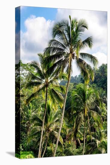 Dreamy Bali - Ubud Palm Trees Forest-Philippe HUGONNARD-Premier Image Canvas