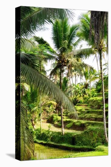 Dreamy Bali - Wild Palm Trees-Philippe HUGONNARD-Premier Image Canvas