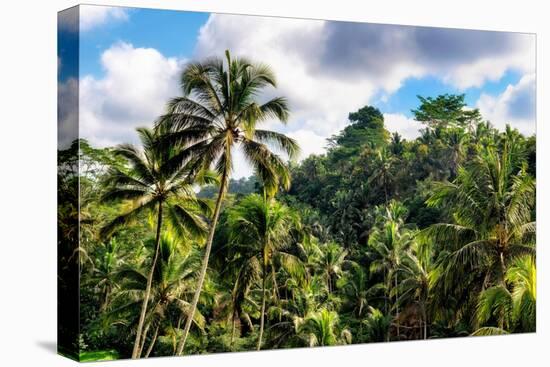 Dreamy Bali - Wild Tropical Forest-Philippe HUGONNARD-Premier Image Canvas