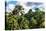 Dreamy Bali - Wild Tropical Forest-Philippe HUGONNARD-Premier Image Canvas