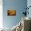 Dreamy Bali - Yellow Curtain Shadow II-Philippe HUGONNARD-Premier Image Canvas displayed on a wall