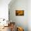 Dreamy Bali - Yellow Curtain Shadow II-Philippe HUGONNARD-Premier Image Canvas displayed on a wall