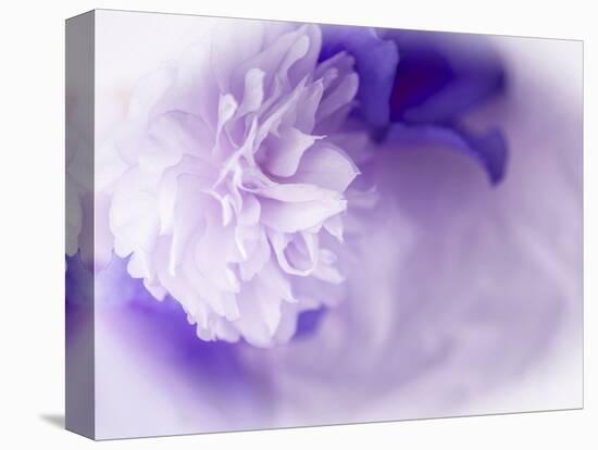 Dreamy Florals in Violet I-Eva Bane-Premier Image Canvas