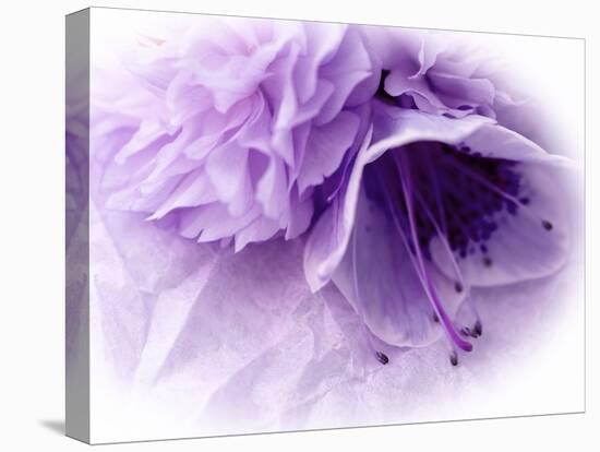 Dreamy Florals in Violet III-Eva Bane-Premier Image Canvas