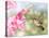Dreamy Image Of A Ruby-Throated Hummingbird Hovering Next To A Pink Gladiolus Flower-Sari ONeal-Premier Image Canvas