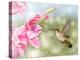 Dreamy Image Of A Ruby-Throated Hummingbird Hovering Next To A Pink Gladiolus Flower-Sari ONeal-Premier Image Canvas