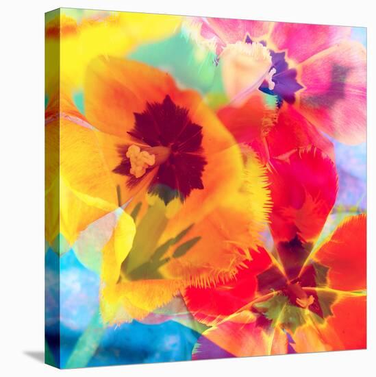 Dreamy Photographic Layer Work from Tulips-Alaya Gadeh-Premier Image Canvas