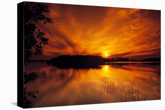 Dreamy Sunset in Swampy Waters, Everglades National Park, Florida, USA-Jerry Ginsberg-Premier Image Canvas