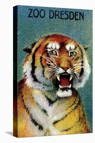 Dresden Zoo Poster With A Tiger-Dresden Zoo-Stretched Canvas