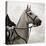 Dressage - The Counter-Pete Kelly-Stretched Canvas