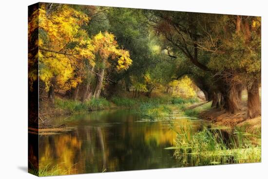 Dressed in Autumn-Jimbi-Premier Image Canvas