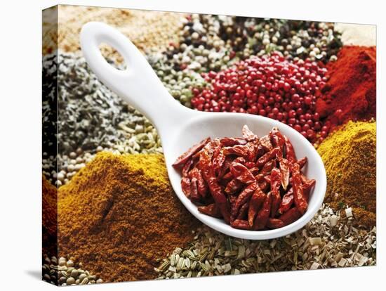 Dried Chillies in Spoon on Assorted Spices-Dieter Heinemann-Premier Image Canvas