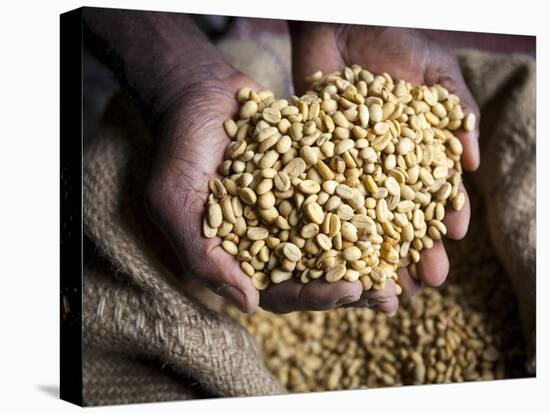 Dried Coffee Beans, Marley Coffee Plantation, Blue Mountains, Portland Parish, Jamaica, Caribbean-Doug Pearson-Premier Image Canvas