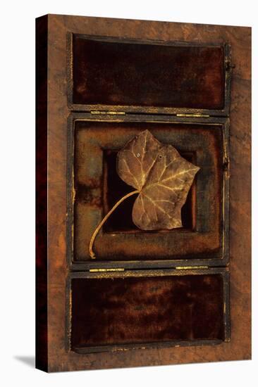 Dried Leaf-Den Reader-Premier Image Canvas