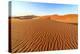 Dried Plants Among the Sand Dunes Shaped by Wind, Sossusvlei, Namib Naukluft National Park-Roberto Moiola-Premier Image Canvas