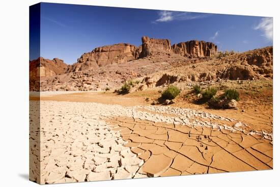 Dried up river bed in the Anti Atlas mountains of Morocco, North Africa-Ashley Cooper-Premier Image Canvas
