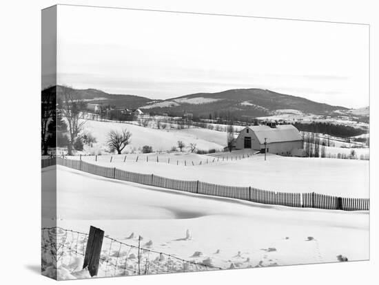 Drift Fence on Farmland-Marion Post Wolcott-Premier Image Canvas