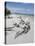 Driftwood on Beach with Fishing Pier in Background, Sanibel Island, Gulf Coast, Florida-Robert Harding-Premier Image Canvas
