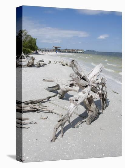 Driftwood on Beach with Fishing Pier in Background, Sanibel Island, Gulf Coast, Florida-Robert Harding-Premier Image Canvas