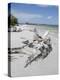 Driftwood on Beach with Fishing Pier in Background, Sanibel Island, Gulf Coast, Florida-Robert Harding-Premier Image Canvas