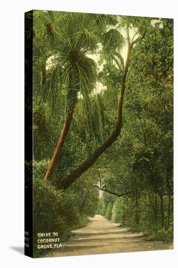 Drive to Coconut Grove, C.1910-null-Premier Image Canvas