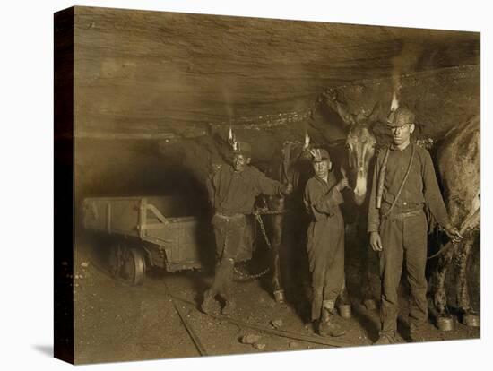 Drivers and Mules with Young Laborers in a West Virginia Coal Mine. October 1908-null-Stretched Canvas