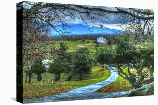 Driveway View-Robert Goldwitz-Premier Image Canvas