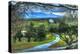 Driveway View-Robert Goldwitz-Premier Image Canvas