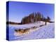 Driving a Dogsled with a Team of 8 Siberian Huskies, Karelia, Finland, Europe-Louise Murray-Premier Image Canvas
