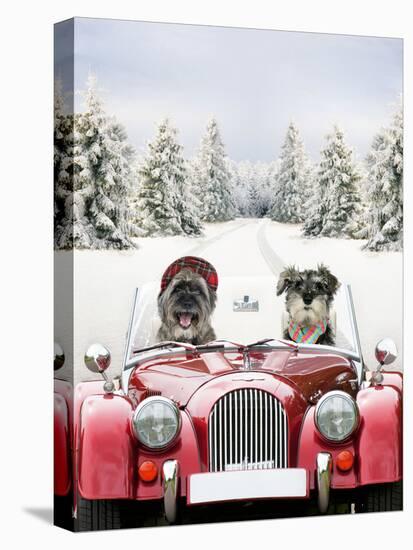 Driving Car Through a Snow Scene-null-Premier Image Canvas