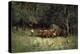 Driving Home the Cows, 1881-Edward Mitchell Bannister-Premier Image Canvas