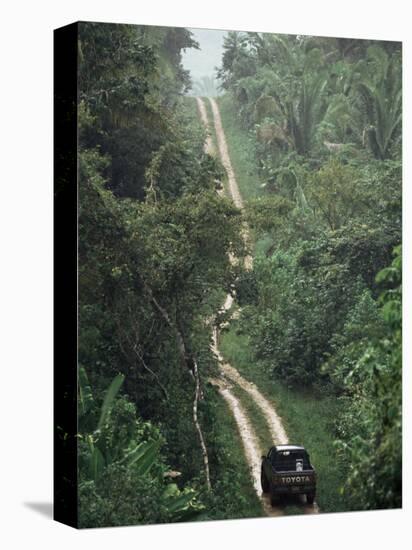 Driving in the Rain Forest, Lubaantun, Toledo District, Belize, Central America-Upperhall-Premier Image Canvas