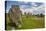 Drombeg stone circle, near Clonakilty, County Cork, Munster, Republic of Ireland, Europe-Nigel Hicks-Premier Image Canvas