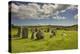 Drombeg stone circle, near Clonakilty, County Cork, Munster, Republic of Ireland, Europe-Nigel Hicks-Premier Image Canvas