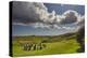 Drombeg stone circle, near Clonakilty, County Cork, Munster, Republic of Ireland, Europe-Nigel Hicks-Premier Image Canvas