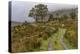 Drumluska, Black Valley, County Kerry, Munster, Republic of Ireland, Europe-Carsten Krieger-Premier Image Canvas