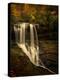 Dry Falls-PHBurchett-Premier Image Canvas