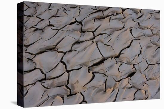 Dry River Bed, Skeleton Coast Park, Namibia, Africa-Thorsten Milse-Premier Image Canvas